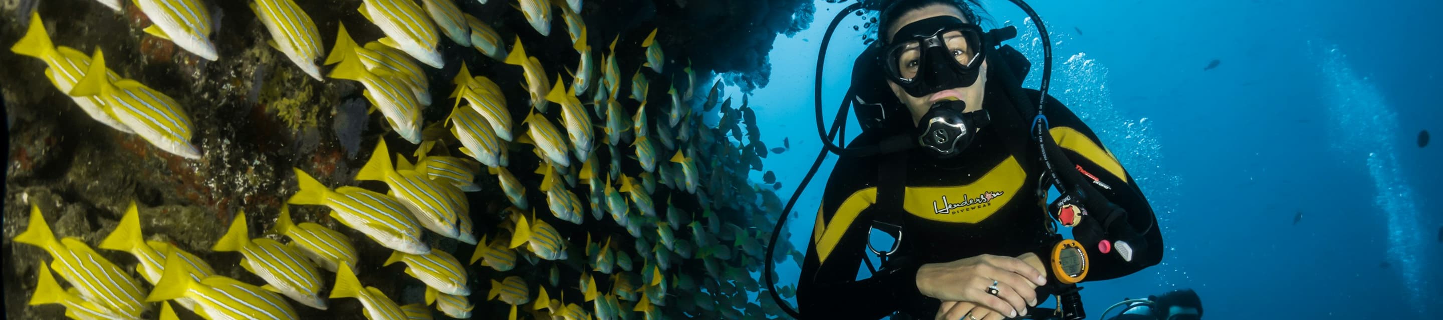 Flash Sales for Last-Minute Dives